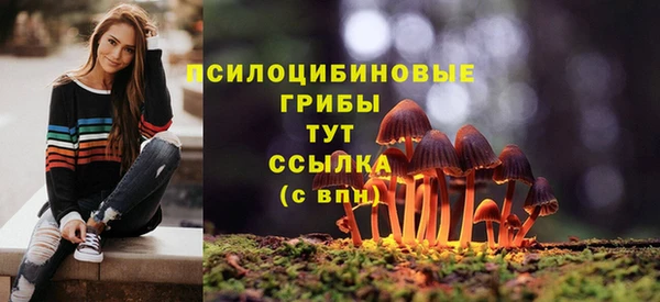 дмт Армянск